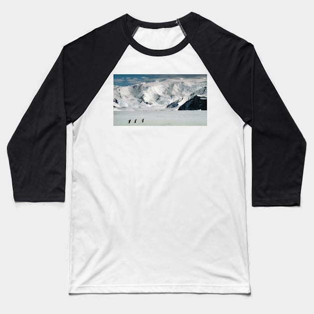 Adelie Penguins at Cape Hallett Baseball T-Shirt by Carole-Anne